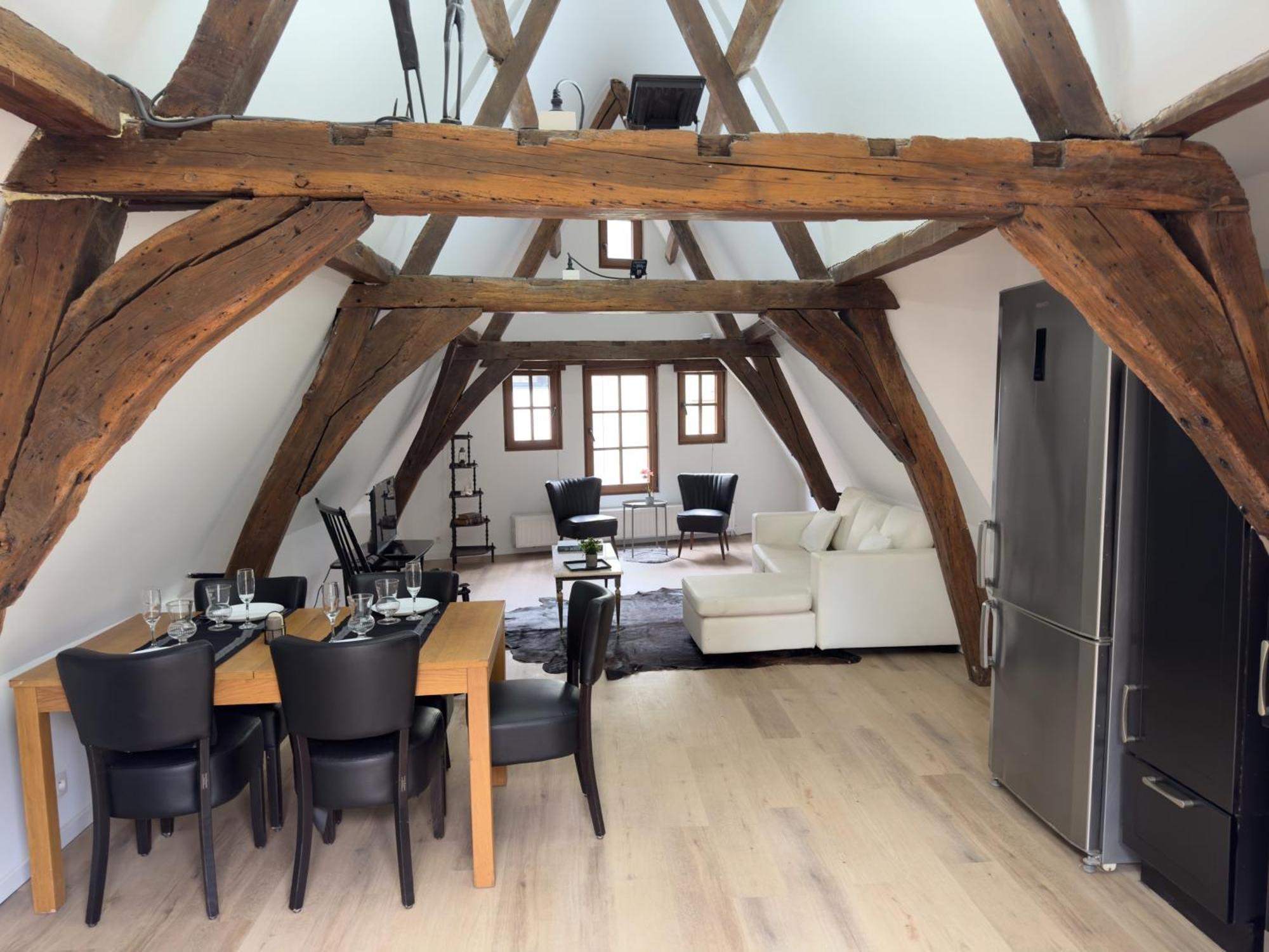 Loft With Big Terrace City Center Meir アントウェルペン エクステリア 写真