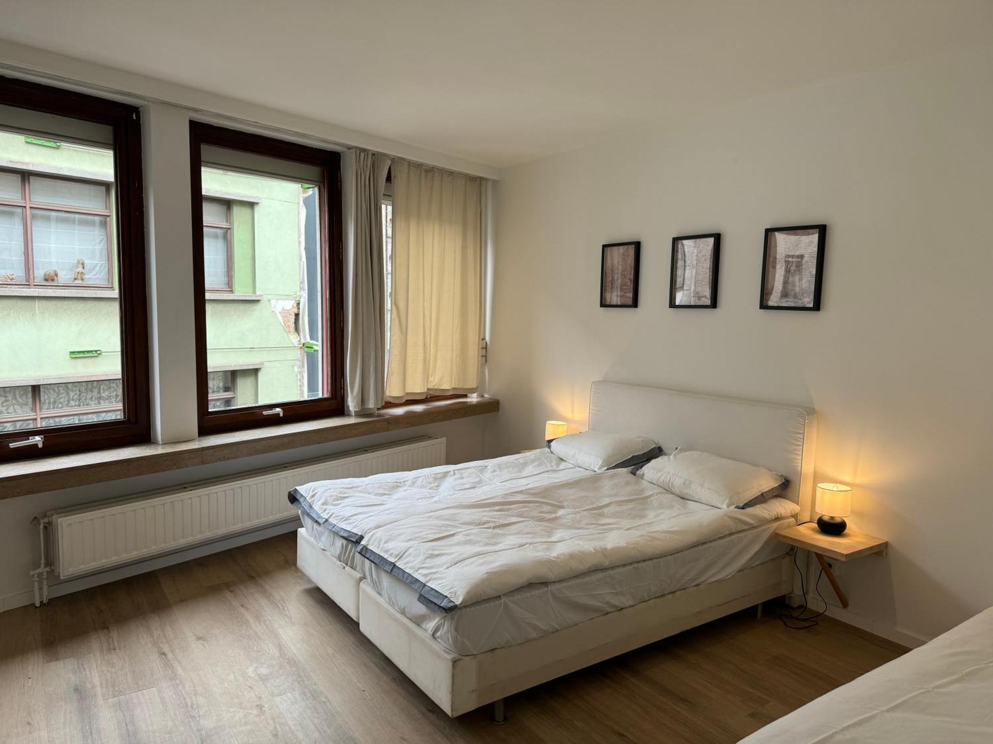 Loft With Big Terrace City Center Meir アントウェルペン エクステリア 写真
